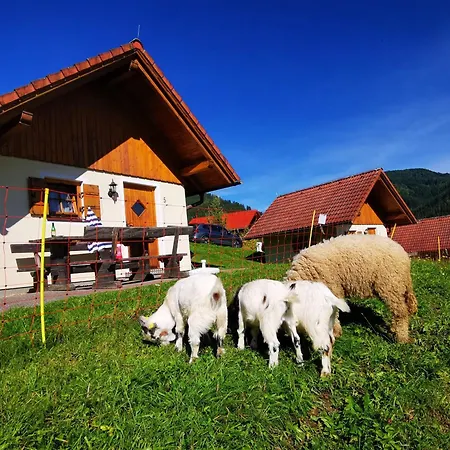 Ferienpark Gaal Dom wakacyjny
