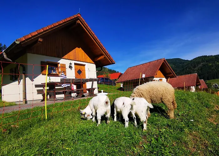 Ferienpark Gaal Prázdninový dům